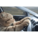 Catdrive emoji