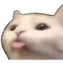 Sillycat emoji
