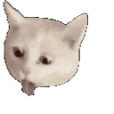 Gag Cat E emoji