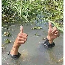 Drowningthumbs Up emoji