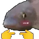 Fishshy emoji