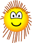 Porcupine Emoticon emoji