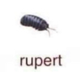 Rupert Pillbug emoji