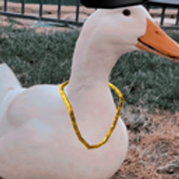 Duckgangster emoji