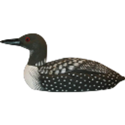Loon emoji