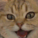 Excited Cat emoji