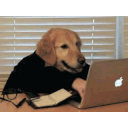 Dogtyping emoji