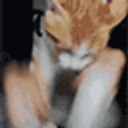 Cat Hit Gatling emoji