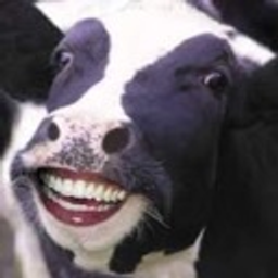Cow Grin Happy emoji