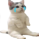Catsittingverycomfortablebutmissingitsfriendswherearethey emoji