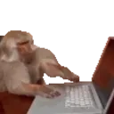 Monkeychat emoji