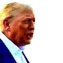 Wtf Trump emoji