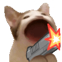 Ppopcatgunh emoji