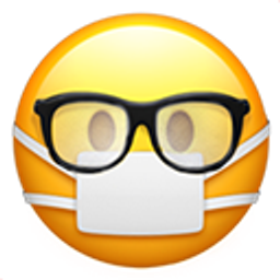Mask With Fogged Glasses emoji