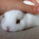 Petthebunny emoji