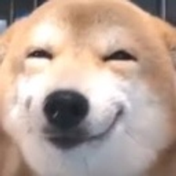 Doggo Cute emoji