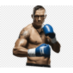 Usyk emoji