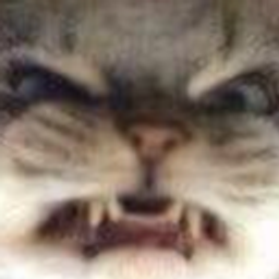 Catrawr0 emoji