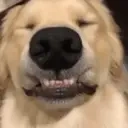 Wowies emoji