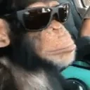 Monkeyjam emoji