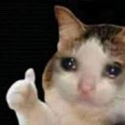 Thumbs Up Crying Cat emoji