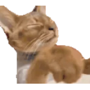 Shoo emoji