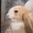 Bunny Smile emoji
