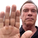 Arnoldhalt emoji