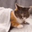Catnapped emoji
