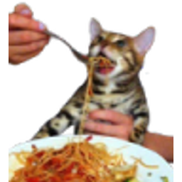 Catspaghetti emoji