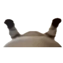 Widewiggle emoji