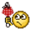 Fly Swatter emoji