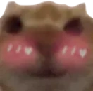 Flushedcat emoji