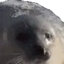 Sealleave emoji