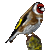 Goldfinch emoji