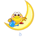 Moon Watering emoji