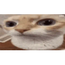 Schizouuh emoji