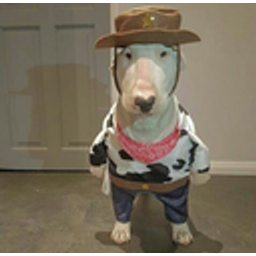 Cowboy Walter emoji