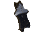 Breakdancing Cat emoji