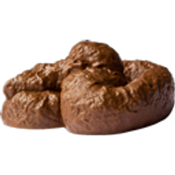Dog Shit emoji