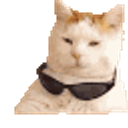 Jus Deal With It emoji