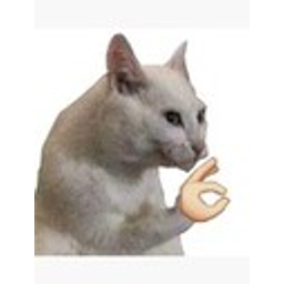 Okcat emoji