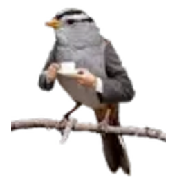 Birbb emoji