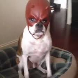 Daredevil Dog emoji