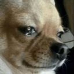 Crydog emoji