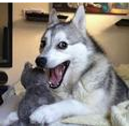 Punhusky emoji
