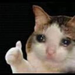 Nicecat emoji