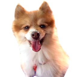 Pomeranian emoji
