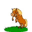 Horse emoji