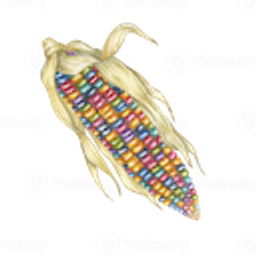 Rainbow Corn emoji
